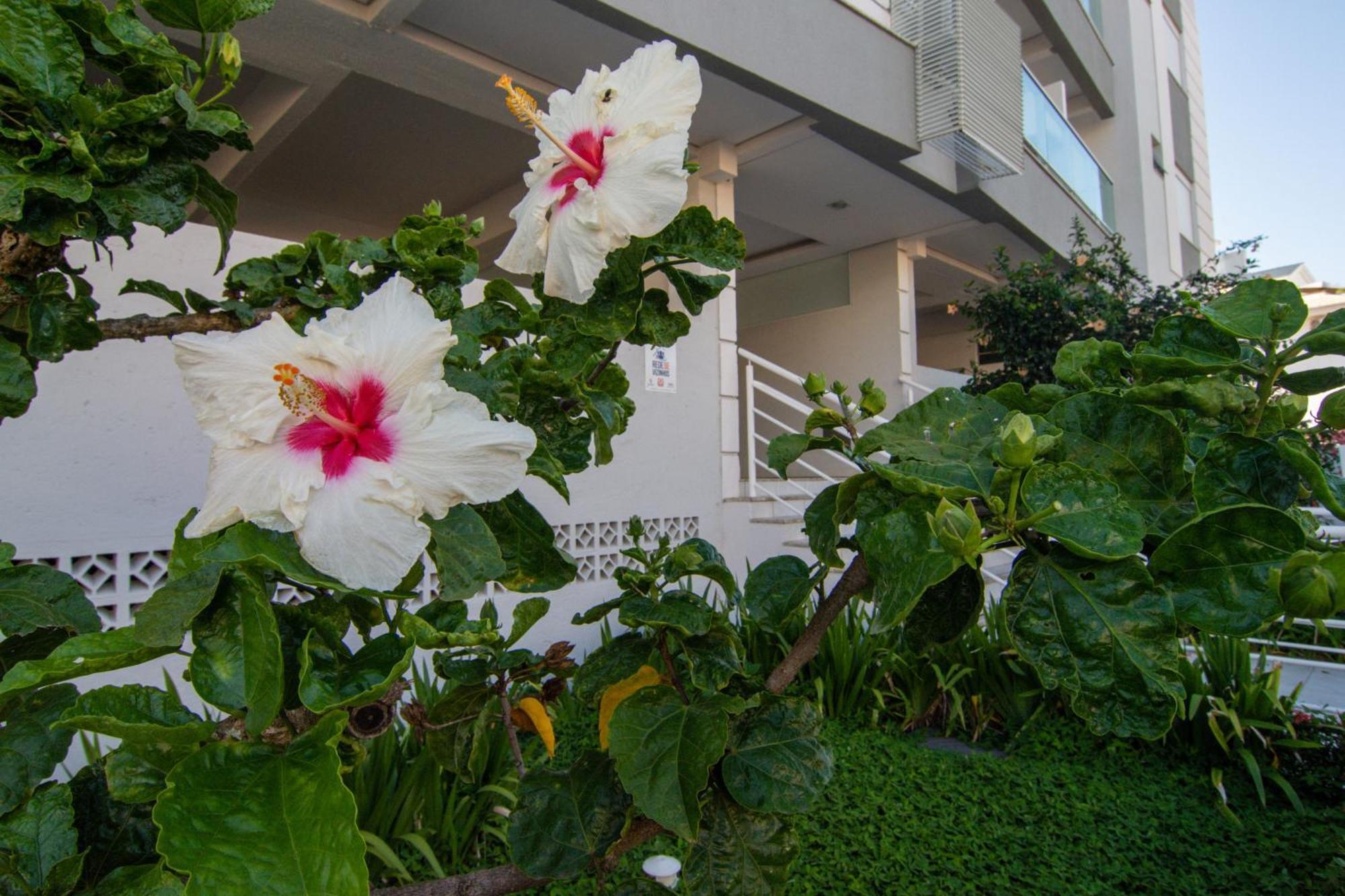 Localizacao Perfeita No Novo Campeche P473 Lägenhet Florianópolis Exteriör bild